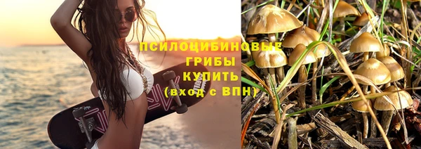 скорость Приозерск