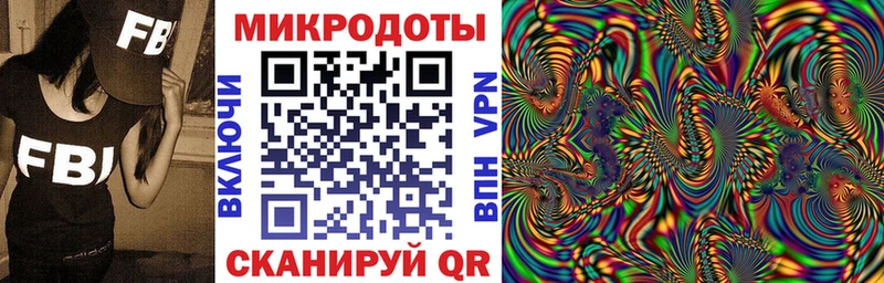 Псилоцибиновые грибы Cubensis  кракен как войти  Железногорск 