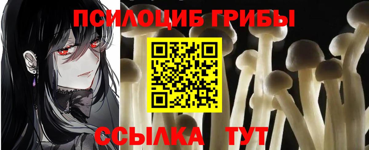 что такое   Вход с VPN  Железногорск  Галлюциногенные грибы ЛСД 
